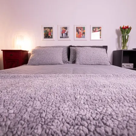 'al 40' Delizioso Monolocale Ai Piedi Di Citta Alta Holiday home